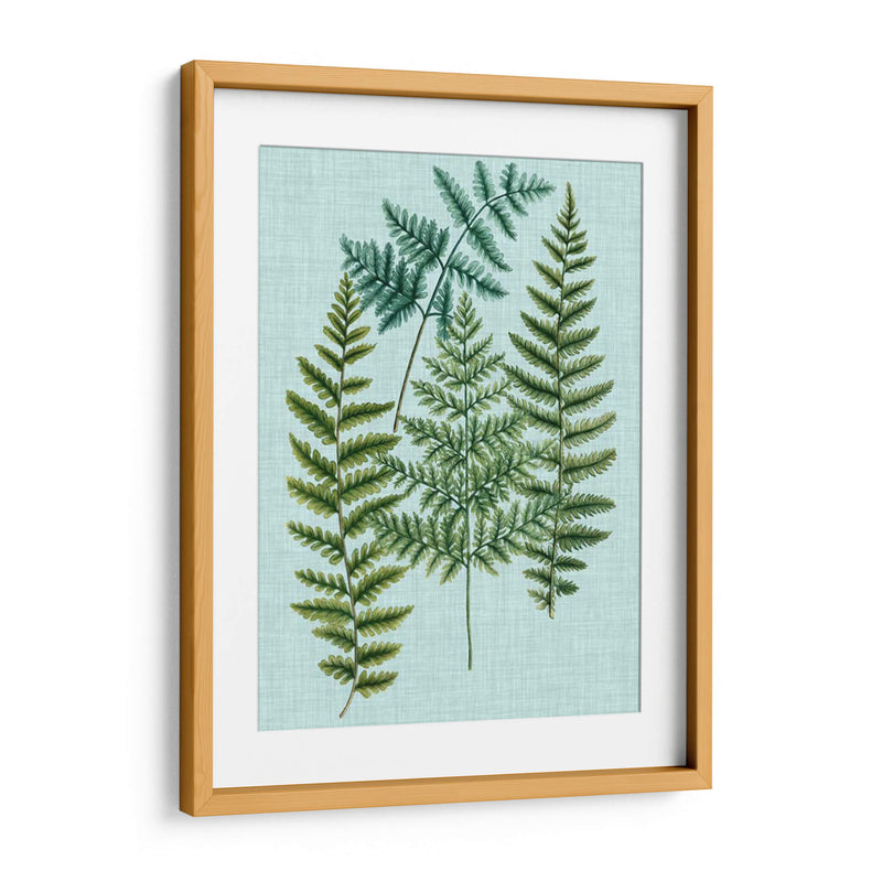 Spa Ferns Ii - Weinmann | Cuadro decorativo de Canvas Lab