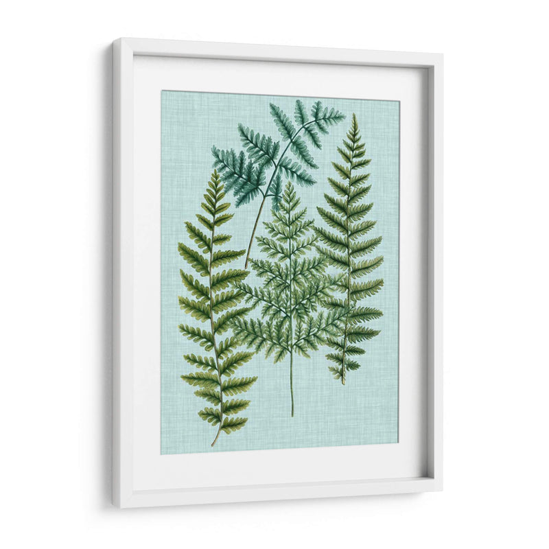 Spa Ferns Ii - Weinmann | Cuadro decorativo de Canvas Lab