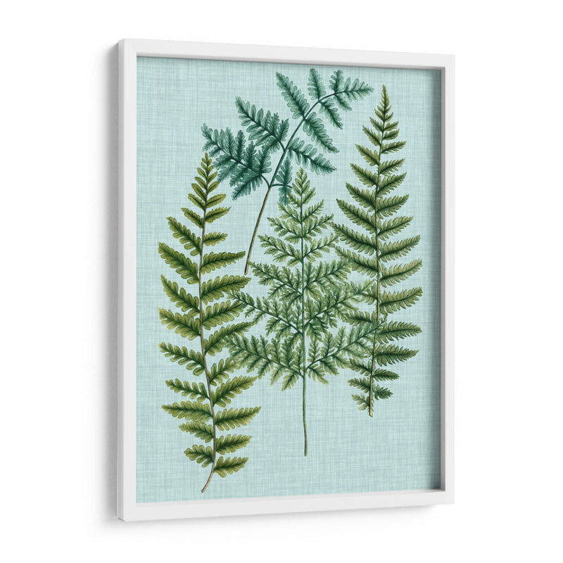 Spa Ferns Ii - Weinmann | Cuadro decorativo de Canvas Lab