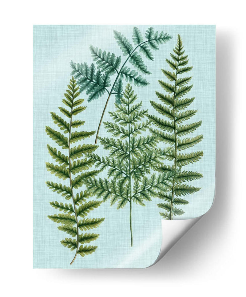 Spa Ferns Ii - Weinmann | Cuadro decorativo de Canvas Lab