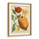 Cítrico Exótico Ii - Weinmann | Cuadro decorativo de Canvas Lab