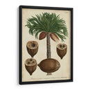 Vintage Tropicales I - Weinmann | Cuadro decorativo de Canvas Lab