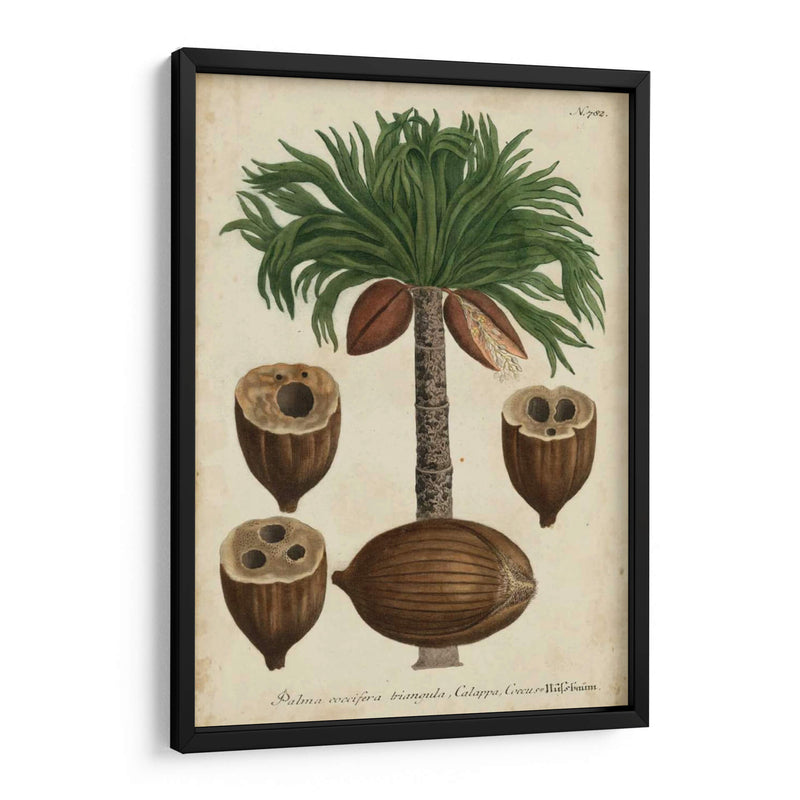 Vintage Tropicales I - Weinmann | Cuadro decorativo de Canvas Lab