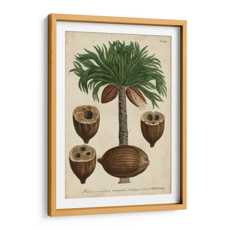 Vintage Tropicales I - Weinmann | Cuadro decorativo de Canvas Lab