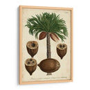 Vintage Tropicales I - Weinmann | Cuadro decorativo de Canvas Lab