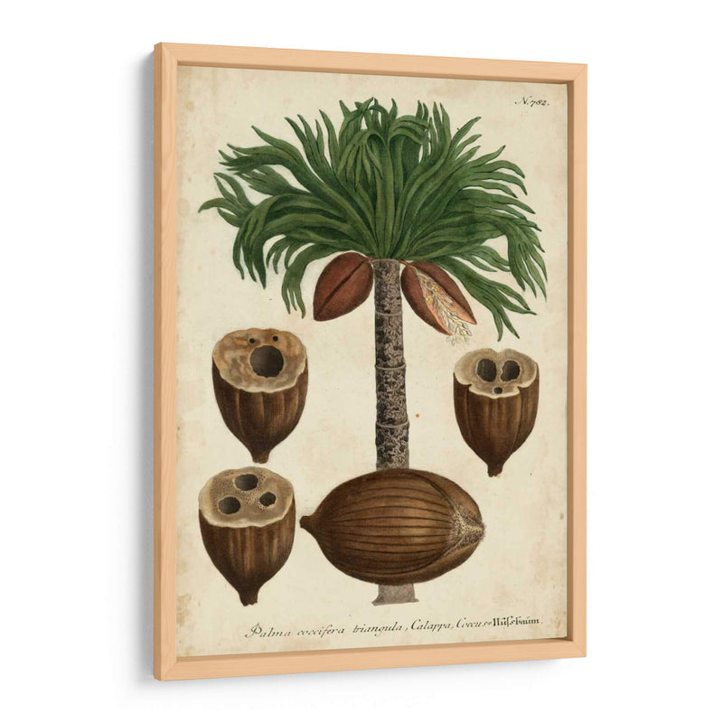 Vintage Tropicales I - Weinmann | Cuadro decorativo de Canvas Lab