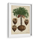 Vintage Tropicales I - Weinmann | Cuadro decorativo de Canvas Lab
