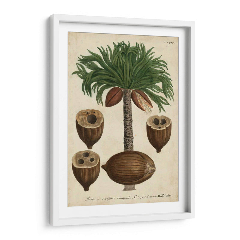 Vintage Tropicales I - Weinmann | Cuadro decorativo de Canvas Lab