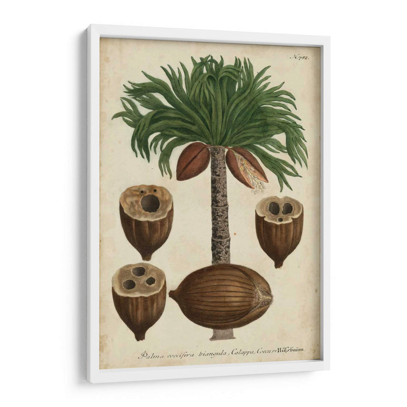 Vintage Tropicales I - Weinmann | Cuadro decorativo de Canvas Lab