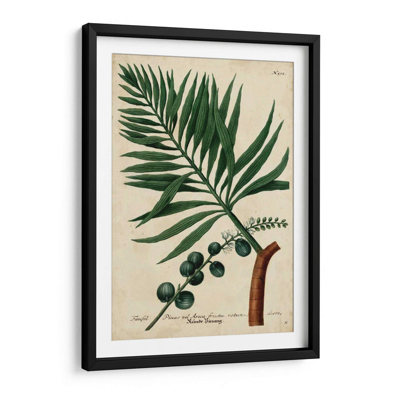 Vintage Tropicals Iv - Weinmann | Cuadro decorativo de Canvas Lab