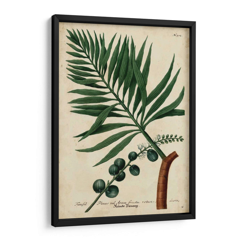 Vintage Tropicals Iv - Weinmann | Cuadro decorativo de Canvas Lab