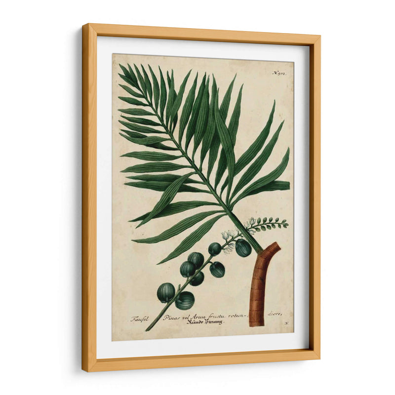 Vintage Tropicals Iv - Weinmann | Cuadro decorativo de Canvas Lab