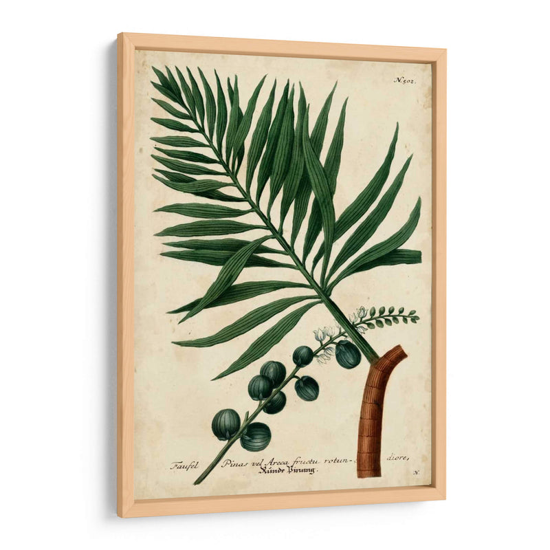 Vintage Tropicals Iv - Weinmann | Cuadro decorativo de Canvas Lab