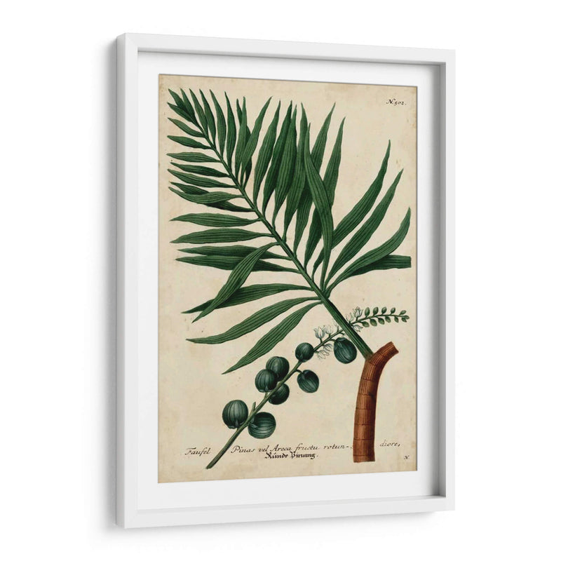 Vintage Tropicals Iv - Weinmann | Cuadro decorativo de Canvas Lab