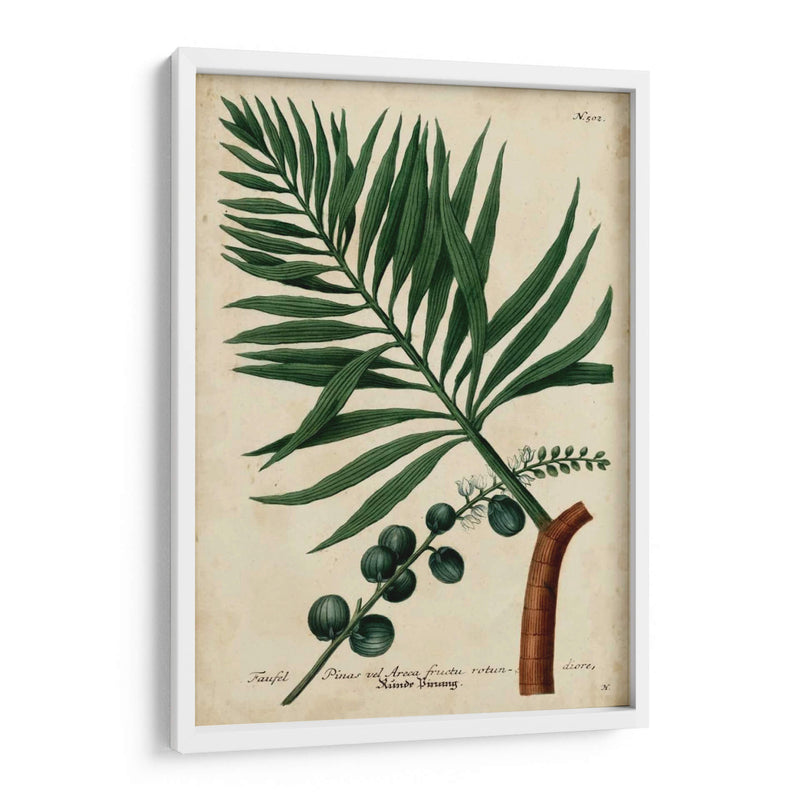 Vintage Tropicals Iv - Weinmann | Cuadro decorativo de Canvas Lab