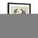 Histoire Naturelle Insectos I - Diderot | Cuadro decorativo de Canvas Lab