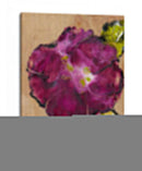 Camelia Pasion Ii - Alicia Ludwig | Cuadro decorativo de Canvas Lab