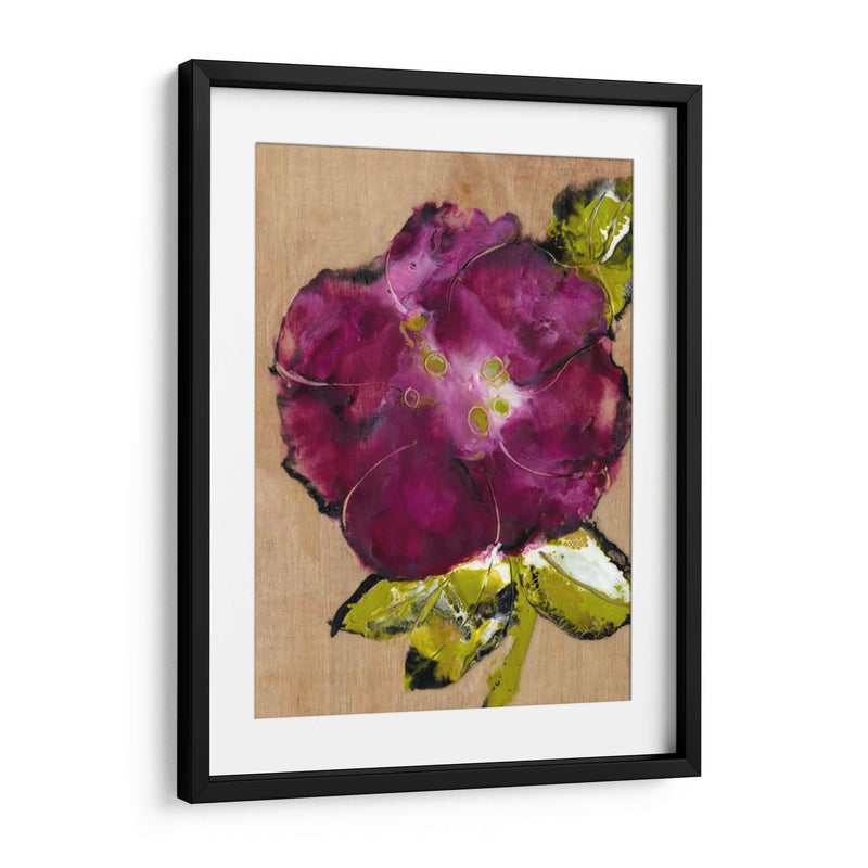 Camelia Pasion Ii - Alicia Ludwig | Cuadro decorativo de Canvas Lab