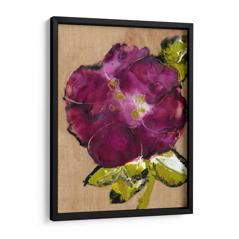 Camelia Pasion Ii - Alicia Ludwig | Cuadro decorativo de Canvas Lab