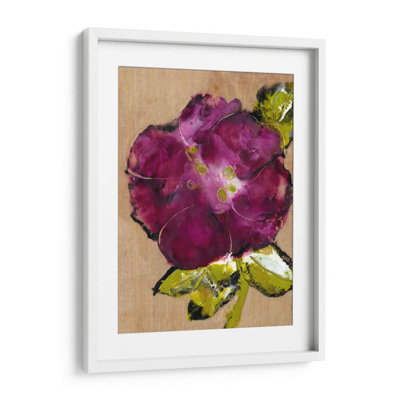 Camelia Pasion Ii - Alicia Ludwig | Cuadro decorativo de Canvas Lab