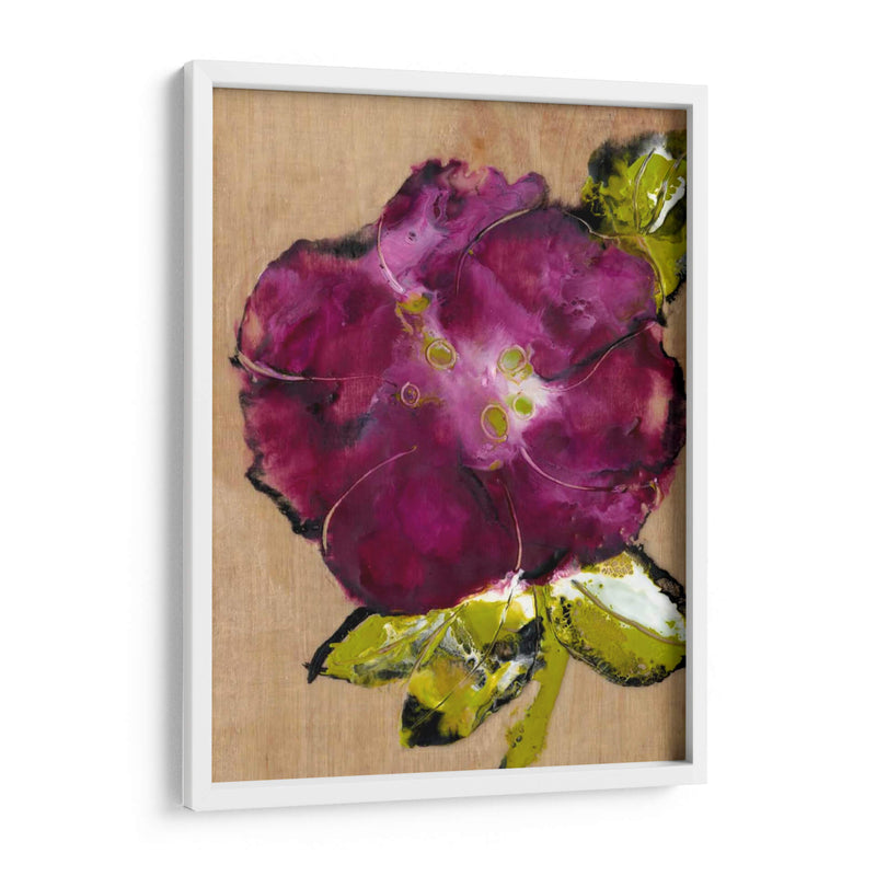 Camelia Pasion Ii - Alicia Ludwig | Cuadro decorativo de Canvas Lab