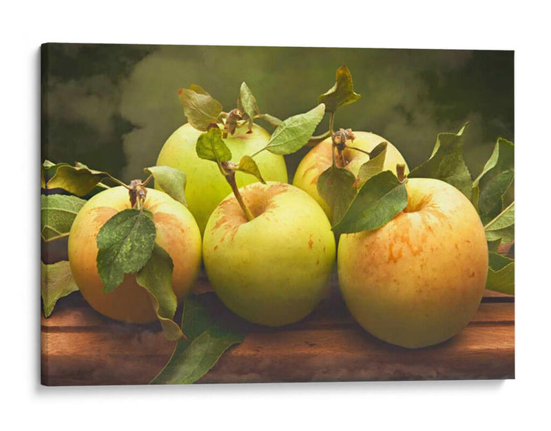 Jills Green Manzanas I - Rachel Perry | Cuadro decorativo de Canvas Lab