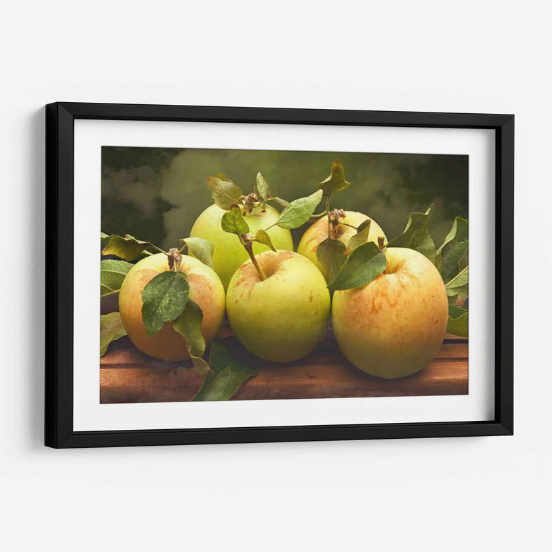 Jills Green Manzanas I - Rachel Perry | Cuadro decorativo de Canvas Lab