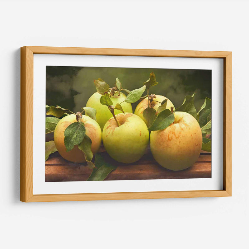 Jills Green Manzanas I - Rachel Perry | Cuadro decorativo de Canvas Lab