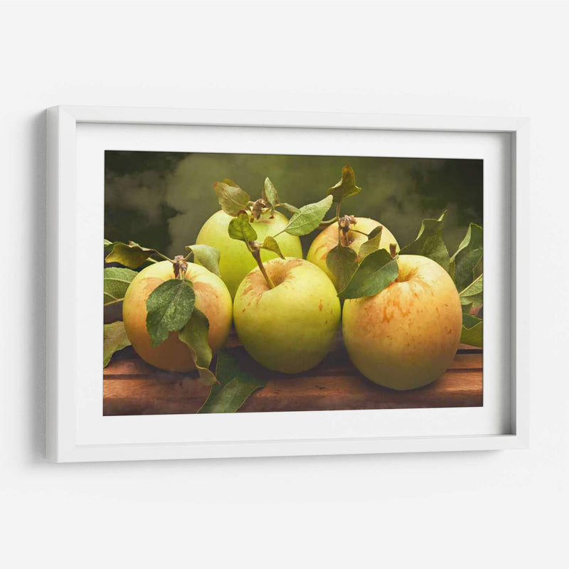 Jills Green Manzanas I - Rachel Perry | Cuadro decorativo de Canvas Lab