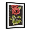 Amapolas Haladas Ii - Grace Popp | Cuadro decorativo de Canvas Lab