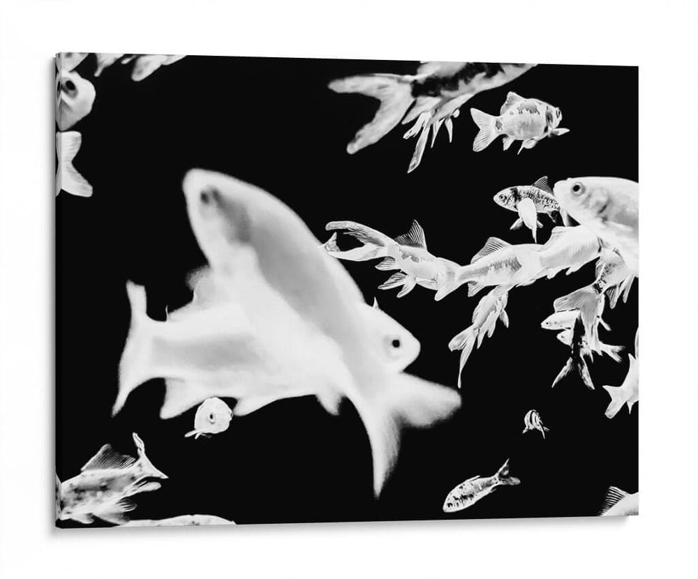 Nado blanco y negro | Cuadro decorativo de Canvas Lab