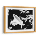 Nado blanco y negro | Cuadro decorativo de Canvas Lab