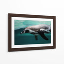 Nado de un pinguino | Cuadro decorativo de Canvas Lab