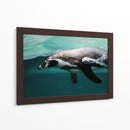 Nado de un pinguino | Cuadro decorativo de Canvas Lab