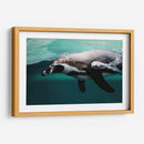 Nado de un pinguino | Cuadro decorativo de Canvas Lab
