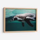 Nado de un pinguino | Cuadro decorativo de Canvas Lab