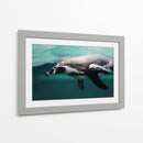 Nado de un pinguino | Cuadro decorativo de Canvas Lab