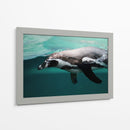 Nado de un pinguino | Cuadro decorativo de Canvas Lab