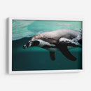 Nado de un pinguino | Cuadro decorativo de Canvas Lab