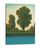 Momento Tranquilo Ii - Tim OToole | Cuadro decorativo de Canvas Lab