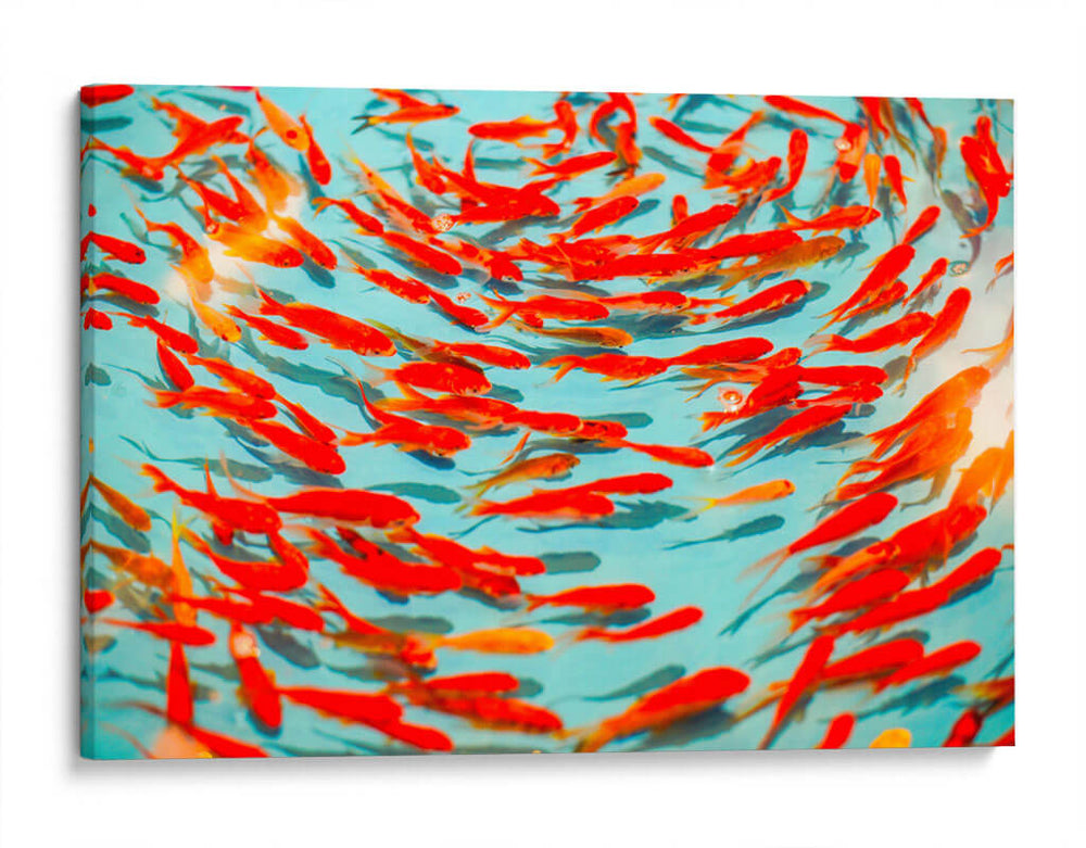 Nado naranja | Cuadro decorativo de Canvas Lab