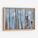 Danza Ligera En Cattails I - Leda Robertson | Cuadro decorativo de Canvas Lab