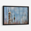 Danza Ligera En Cattails Ii - Leda Robertson | Cuadro decorativo de Canvas Lab