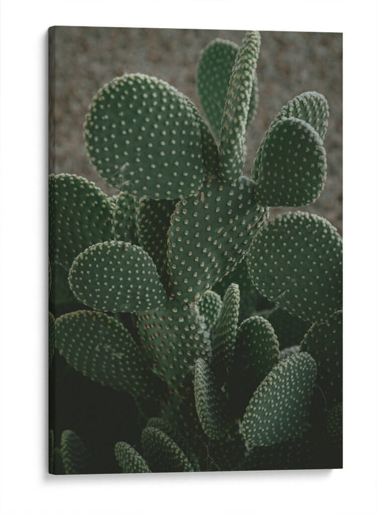 Nopalitos | Cuadro decorativo de Canvas Lab