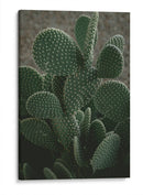 Nopalitos | Cuadro decorativo de Canvas Lab