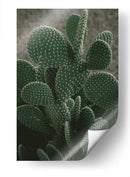 Nopalitos | Cuadro decorativo de Canvas Lab