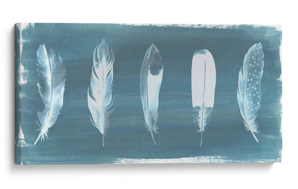 Plumas En Dusty Teal I - Grace Popp | Cuadro decorativo de Canvas Lab