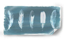 Plumas En Dusty Teal I - Grace Popp | Cuadro decorativo de Canvas Lab