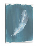 Plumas En Dusty Teal V - Grace Popp | Cuadro decorativo de Canvas Lab