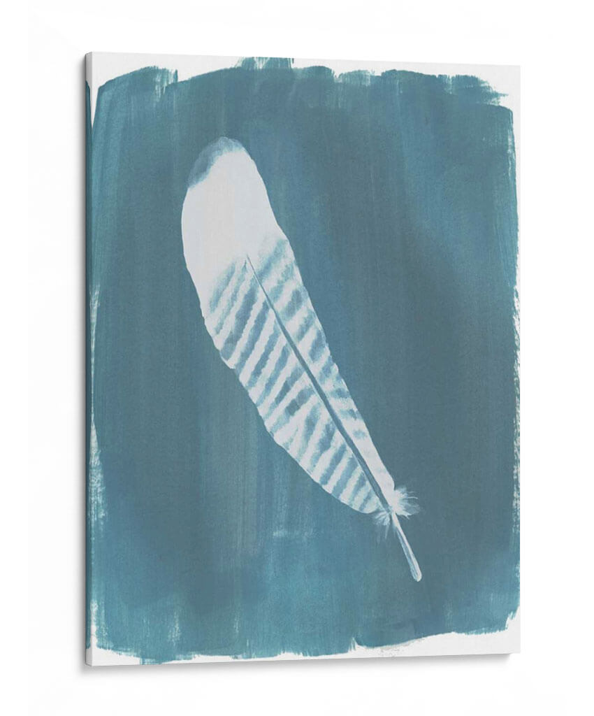 Plumas En Polvoriento Teal Vi - Grace Popp | Cuadro decorativo de Canvas Lab